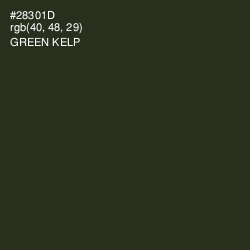 #28301D - Green Kelp Color Image